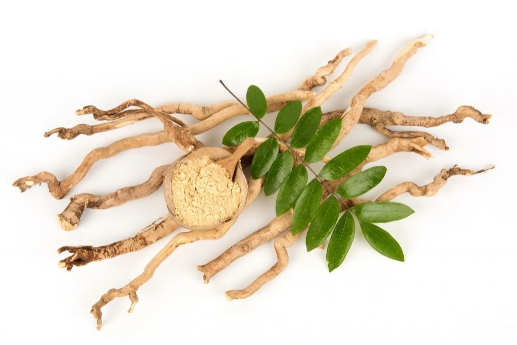 Tongkat Ali root extract, a natural ingredient studied for men's testosterone support
